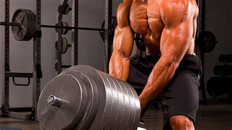 Maximize natural T? Best diet & training for sustained male performance?