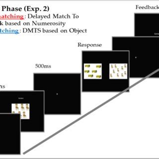 Examples of training stimuli in Experiment2. | Download Scientific Diagram