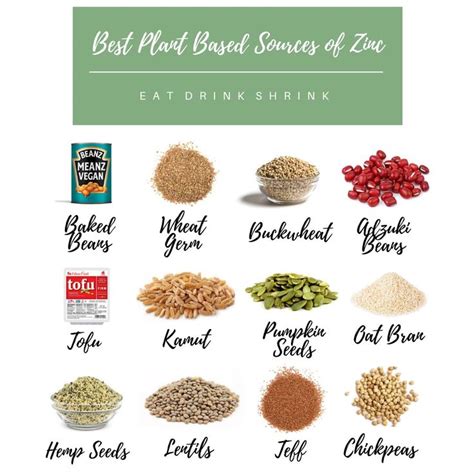 Best sources of plant based zinc | Plant based, Nutrition, In season produce