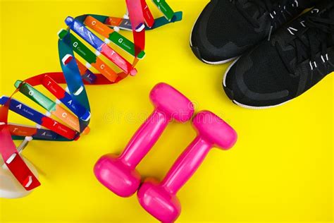 Optimize gym time: What workout structure delivers peak strength and lean mass gains?