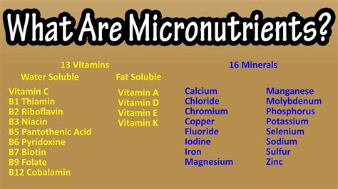 What Are Micronutrients (Vitamins And Minerals) Explained - RDA For ...