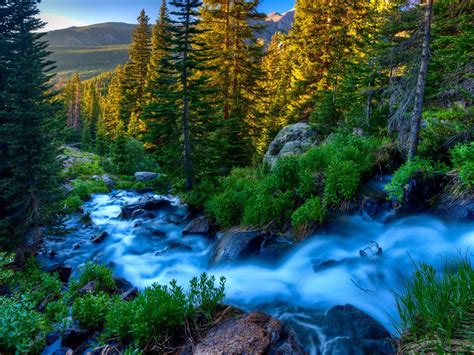 🔥 [40+] Peaceful Nature Wallpapers | WallpaperSafari