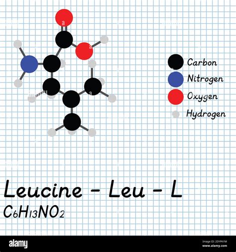 Leu vector hi-res stock photography and images - Alamy