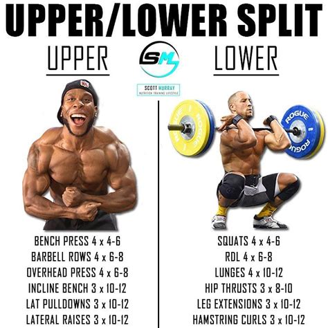 8 Powerful Muscle Building Gym Training Splits - GymGuider.com | Lower ...