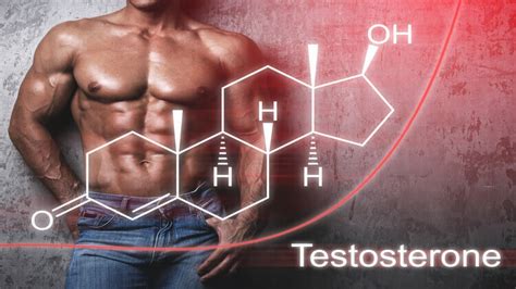 How Does Vitamin D Increase Testosterone in Men? – CrazyBulk USA