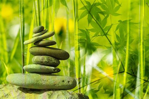 A Guide to Holistic Health Care - Health and Natural Healing Tips