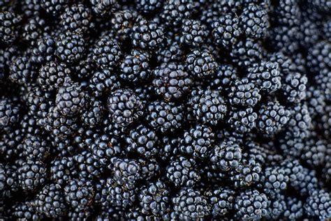 Which Antioxidant-Rich Fruits and Vegetables Should You Be Eating?