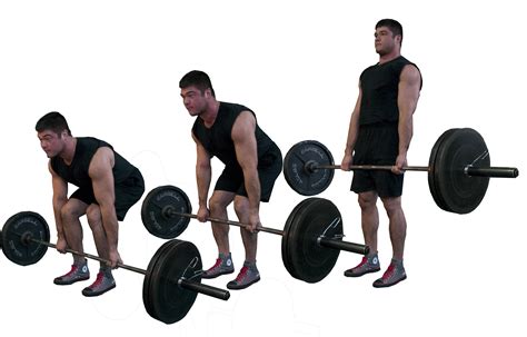 barbell-deadlifts | Lose Fat Eat Right