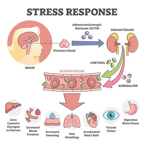 Anxiety and Sleep Loss: How to Unravel This Tangled Web