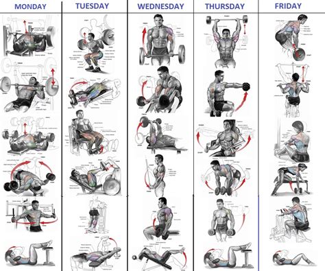 Best Workout Routine to Get Big Fast ~ multiple fitness