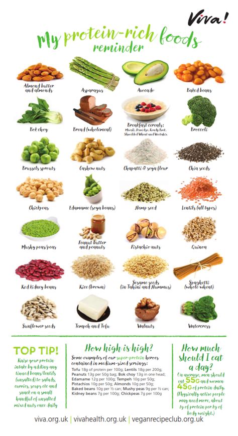 High Protein Foods List Printable Free