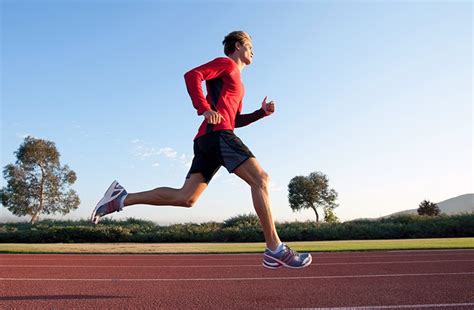 Sports Performance Bulletin - Endurance health &amp; lifestyle - Components ...