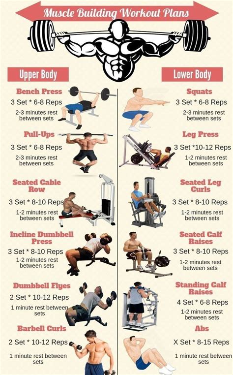 Full Body gym workouts chart | gym workouts tips - #fullbodyworkout # ...