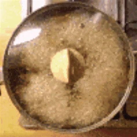 pleas help me identify if this is pre trich coco only - Mushroom ...