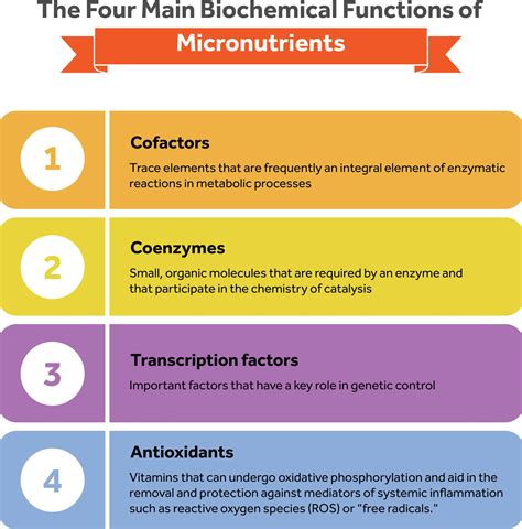 Chapter 26: Micronutrients