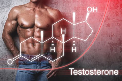 Testosterone Levels In Men - What is It Good For?