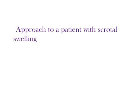 PPT - Scrotal Swelling PowerPoint Presentation, free download - ID:6841092