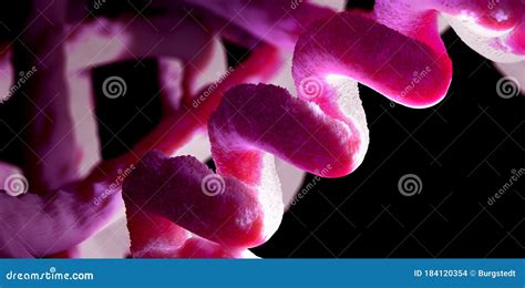 Chain of Amino Acid or Bio Molecules Called Protein Stock Illustration - Illustration of ...