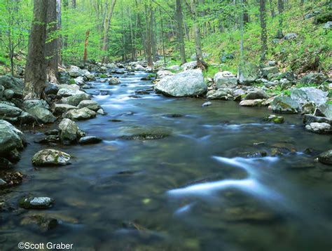 My sweet Family: NATURE