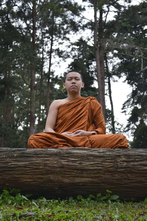 File:Buddhist monk meditation.jpg - Wikimedia Commons