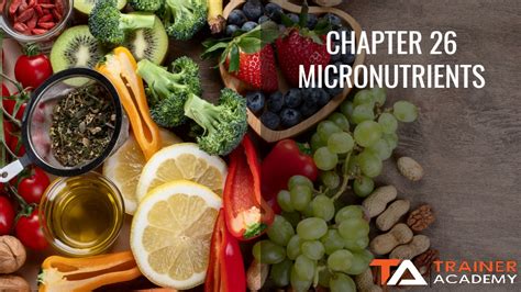 Chapter 29: Legal and Professional Guidelines for Personal Trainers