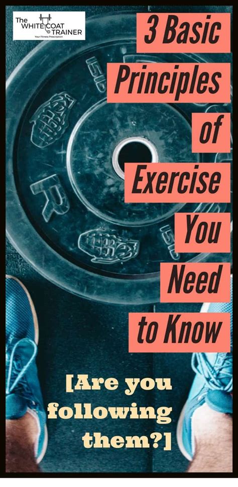 3 Basic Principles Of Exercise You Need To Know Before Working Out ...