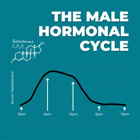 Do Men Have Hormonal Cycles? A Month-Long Study Explained | PureHealth ...