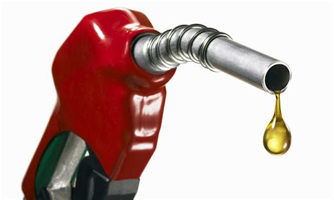 How to fuel sustained energy & mental focus for peak performance?