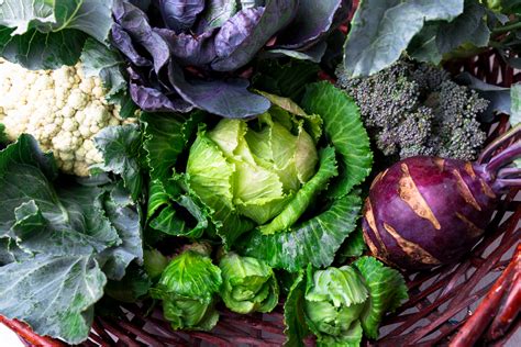 Cruciferous Vegetables Reduce Cancer Risk | Kris Ulland