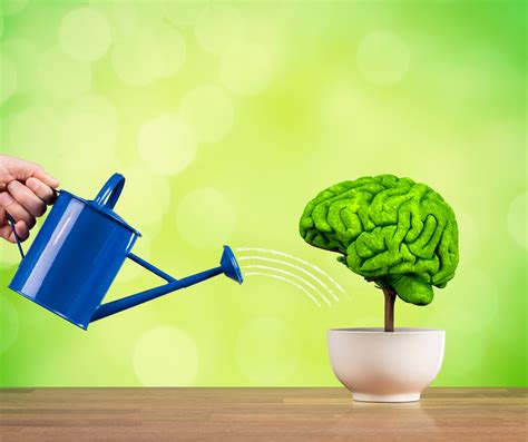 How to Improve Brain Function- Humble Hydration
