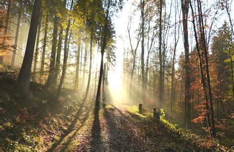 We Can Make Nature Natural Again