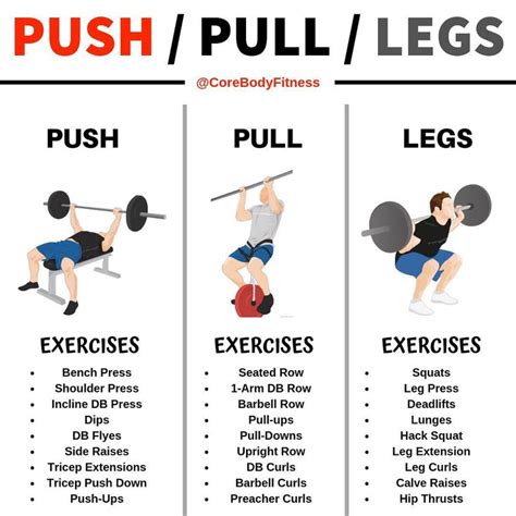 Push/Pull/Legs Weight Training Workout Schedule For 7 Days - GymGuider ...