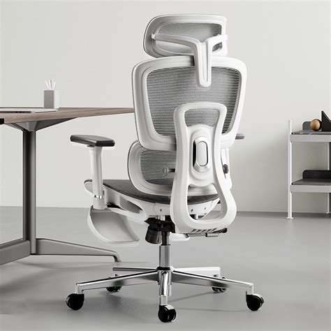 Hbada P2 Ergonomic Office Chair, Back & Lumbar Support, Armrest, headrest