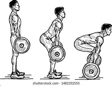 8+ Thousand Deadlift Illustration Royalty-Free Images, Stock Photos &amp; Pictures | Shutterstock