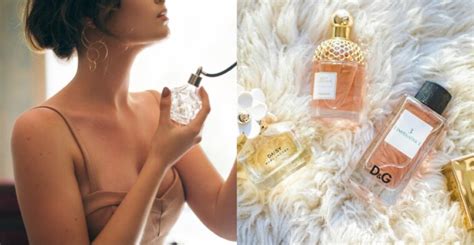 The Art of Choosing the Perfect Signature Perfume: A Beginner's Guide ...