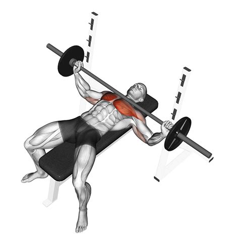 Beyond the standard bench press, what is a compound upper body exercise that men often neglect but significantly contributes to overall pressing strength and chest development?