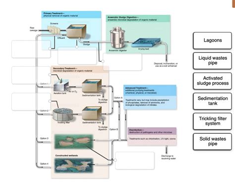 label the image to examine the alternatives for treating polluted water ...