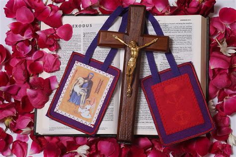 Buy Scapulars Catholic - Purple Scapular of Benediction and Protection - Scapular of Marie Julie ...