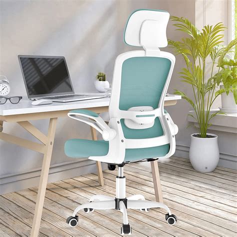 Mimoglad Office Chair, High Back Ergonomic Desk Chair with Adjustable ...