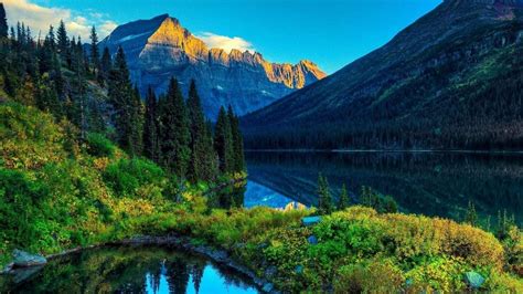 Real Nature Wallpapers - Top Free Real Nature Backgrounds - WallpaperAccess