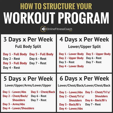 Are You Ready To Go From Newbie To Pro? Then Follow This 8 Week Plan ...
