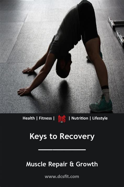 Optimize workout recovery for muscle growth?