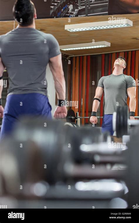 Handsome gym man lifting heavy free weights Stock Photo - Alamy