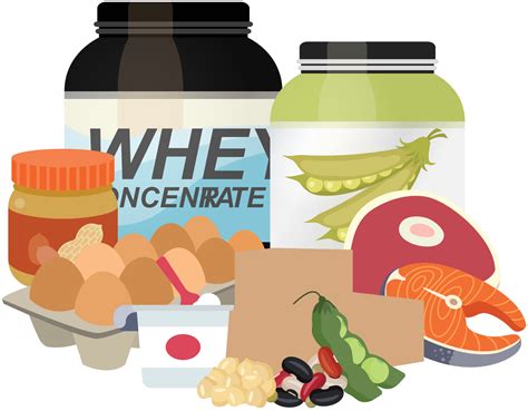 What is the optimal daily protein intake range recommended for men aiming to build and maintain muscle mass?
