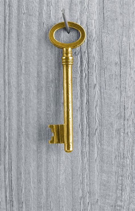 Golden key stock photo. Image of target, business, sign - 28514710