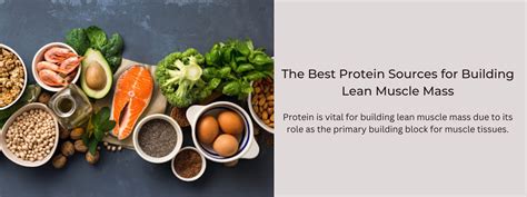The Best Protein Sources for Building Lean Muscle Mass - PotsandPans India