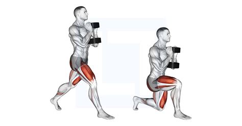 Dumbbells Sumo Squat - Guide, Benefits, and Form