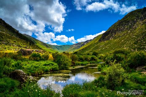 Natural ways to optimize testosterone for improved energy & libido?