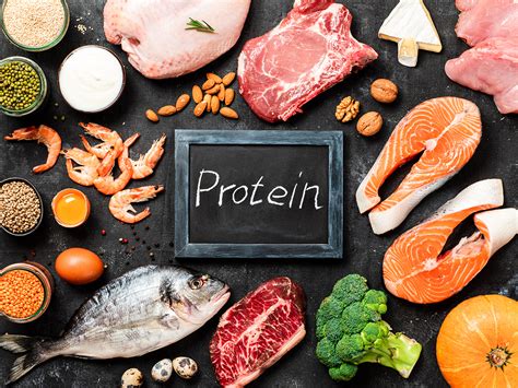 The Power of Protein