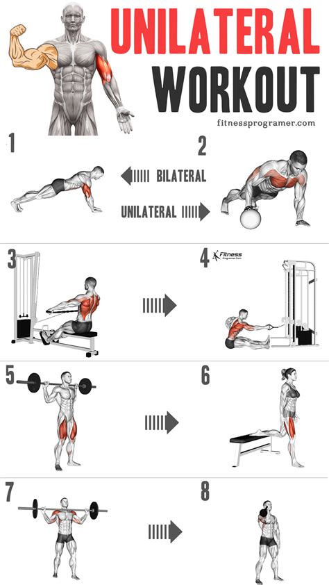 101 Unilateral Exercises For Balanced Muscle Growth